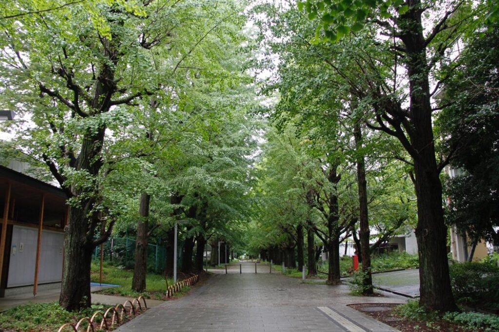 東京大学駒場博物館の敷地内