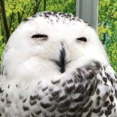 にっこり